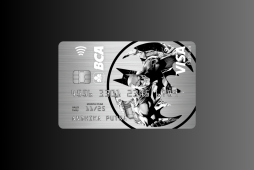 More Information About the BCA Visa Batman