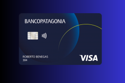 Patagonia Visa Classic